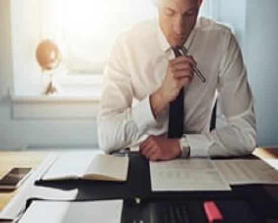 Government and Public Sector